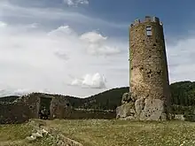 Intérieur de l'enceinte du château de Chalencon.
