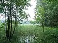 Lac Zbiczno