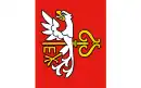 Drapeau de Budzyń