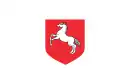 Drapeau de Konin