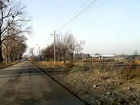 Łomna Las