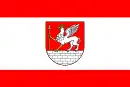 Drapeau de Lubycza Królewska