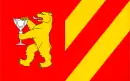 Drapeau de Stronie Śląskie