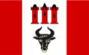 Drapeau de Gmina Bedlno