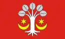 Drapeau de Gmina Bukowiec