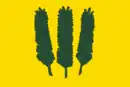 Drapeau de Nadarzyn