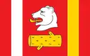 Drapeau de Gmina Radzyń Podlaski
