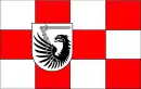 Drapeau de Powiat de Świecie