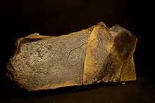 Photo d'une plaquette en calcaire gravée, représentant une tête de cheval