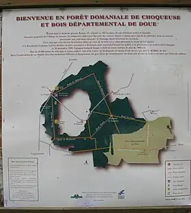Image illustrative de l’article Forêt de Choqueuse