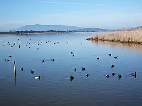 Image illustrative de l’article Lac de Burano