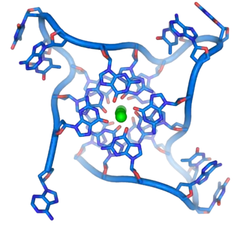 G-quadruplex télomérique humain