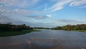 Anamã