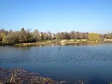 Vue sur un lac, bordé par des arbres sur le fond.
