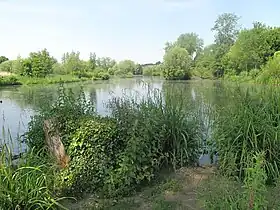 Image illustrative de l’article Parc municipal de La Bouvaque