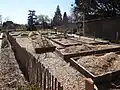 Jardin partagé.