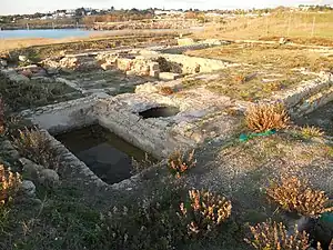 Tepidarium.