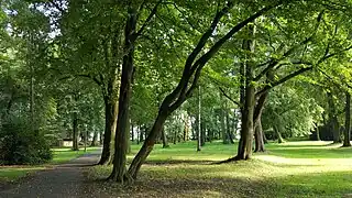 Parc à Wojnicz