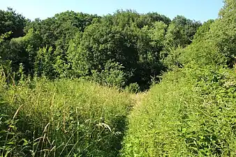 Le GR VA à Parkbos-Uilenbroek&nbsp;(nl)