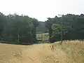 Une partie du terrain