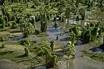Rio Pilcomayo