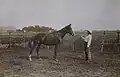 Paul Mirat en Argentine 1920