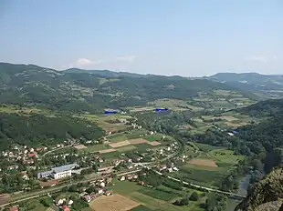 Pavlica
