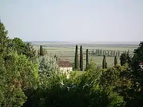 Mortagne-sur-Gironde, dans le sud-ouest.