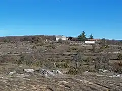 Sur le plateau d'Albion, en Haute-Provence.