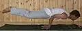 Mayurasana&nbsp;(en).