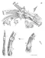 Figure 3 - Penture de la porte Sainte-Anne.