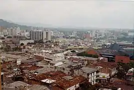 Pereira