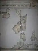 fragments
