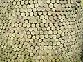 Vue de détail d'une mosaïque de cônes.