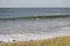 Image illustrative de l’article Spots de surf de l'île de Ré