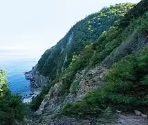 Rivage de la réserve de Lazov