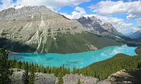 Le lac Peyto
