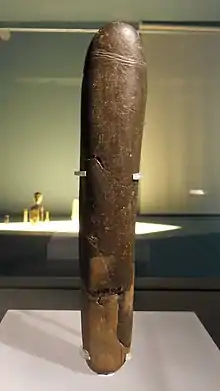 Phallus poli
