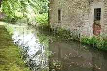 La rivière l'Aube non loin de sa source.