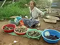 Vente de coquillages au bord de la route.