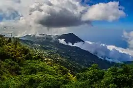 forêt de nuages de Galipan. la guaira.