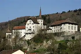 Image illustrative de l’article Château de Carrouge