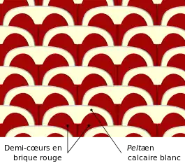 Assemblage de cœurs rouges surmontés de peltas blanches et assemblés en quinconce.