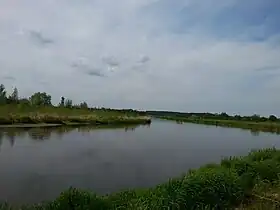Brzeźce (Mazovie)