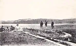 Découverte de la pirogue de Chalain en 1904 (âge du bronze final, 1000 av.J.-C.).