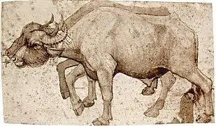 Buffles, par Pisanello (vers 1420-1440).