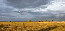 Le plateau de Gergovie vu vers le nord-est avec le monument se dressant à l'arrière-plan.