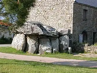 Curcuno.