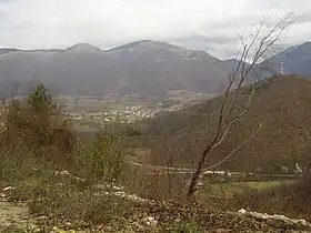 Ždrimci