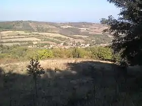 Gornje Štiplje